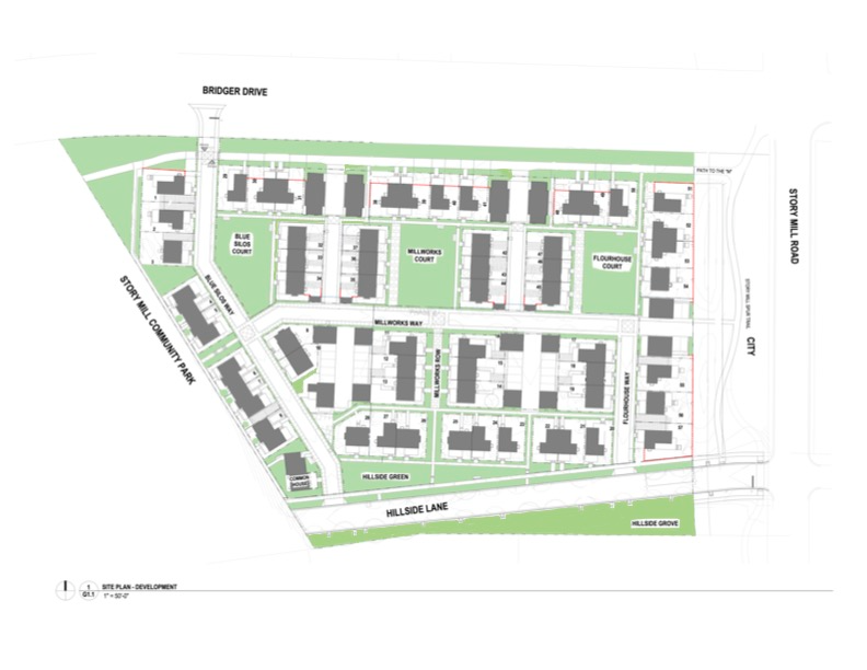 Landscape Maintenance and Care Responsibilities